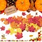1150 Pcs Fall Glitter Confetti Thanksgiving Foil Maple Leaves Glitter,120 g(Gold,orange,red)9.65 x 6.5 x 0.59 inches